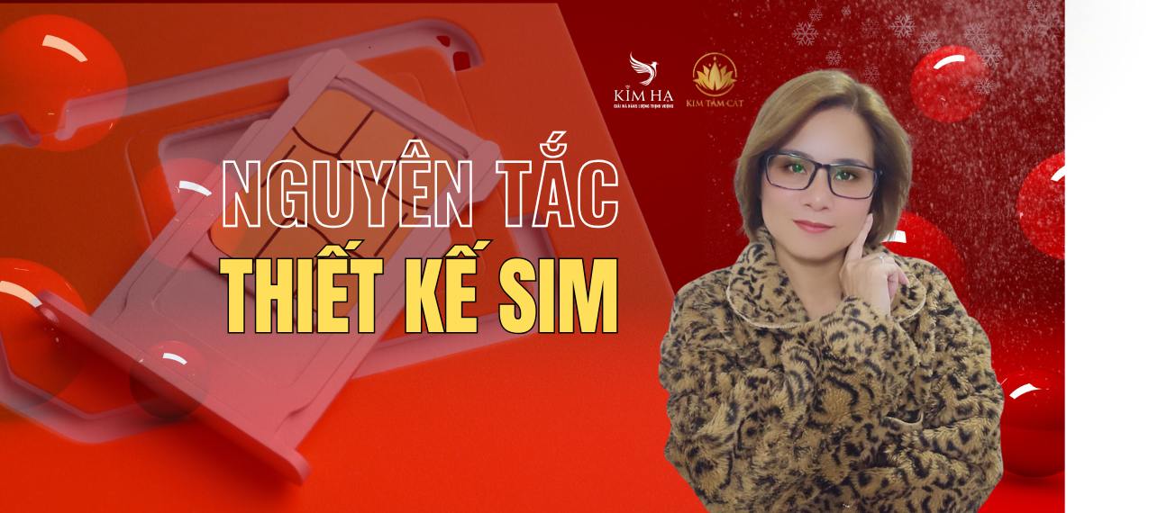 Nguyên tắc thiết kế sim